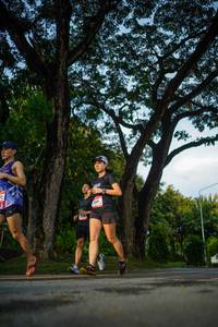 BIB: 
                            <button type="button" onclick="openModal(26551008)" class="btn btn-primary btn-sm float-right btn-popup" data-toggle="modal" data-target=".modal-high-quality">
                        <i class="fas fa-shopping-cart"></i> Add to Cart
                    </button>
                                            <button type="button" onclick="isThisMe(26551008, true)" class="btn btn-success btn-sm float-right btn-popup btn-isme hidden" data-toggle="tooltip" data-placement="bottom" title="นี่คือรูปของคุณใช่ไหม คลิกที่นี่เพื่อเอาเข้าอัลบั้ม">
                        <i class="fas fa-plus"></i> Add to album
                    </button>
                    <button type="button" onclick="isThisMe(26551008, false)" class="btn btn-warning btn-sm float-right btn-popup btn-isnotme hidden">
                        <i class="fas fa-ban"></i> Remove from album
                    </button>